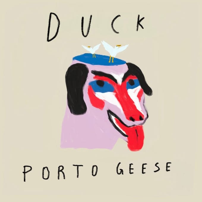 Duck