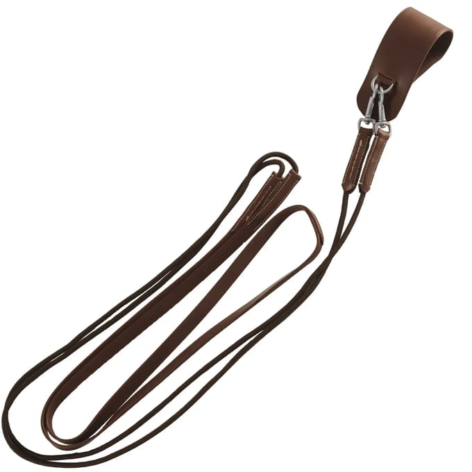 Duitse teugels leder Canter