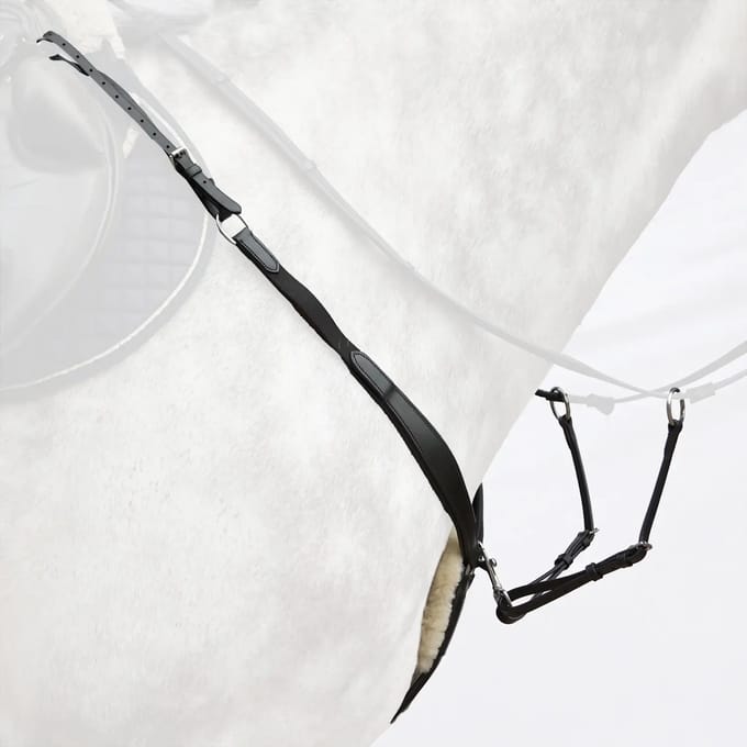 Jachthalsband voor paarden Bridlery Dynamic