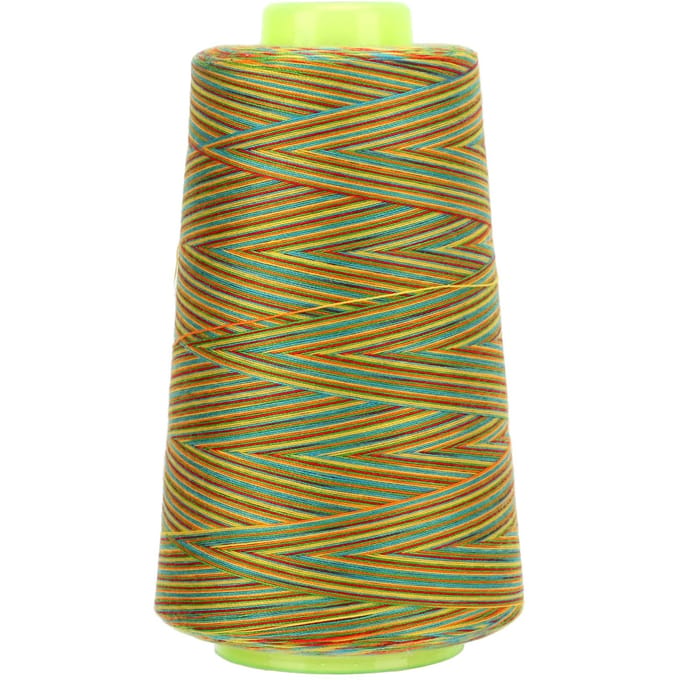 Fil à coudre Polyester durable Robuste Large application Coloré Broderie Fil 402 pour la couture brown