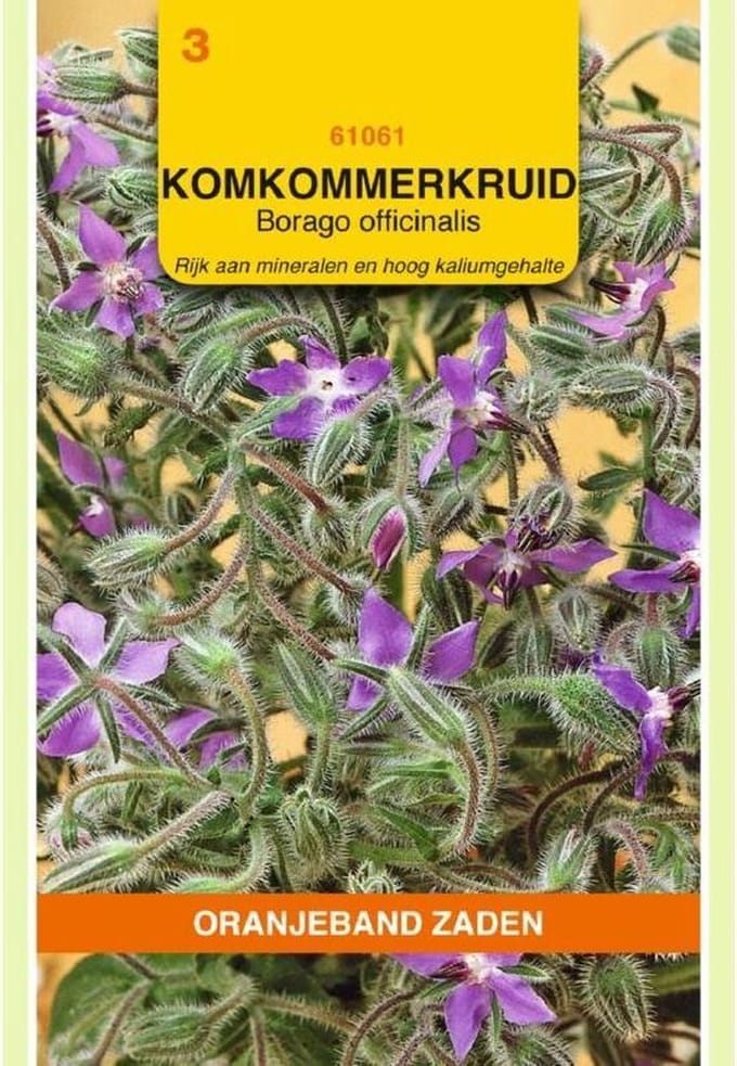 Borage, Komkommerkruid