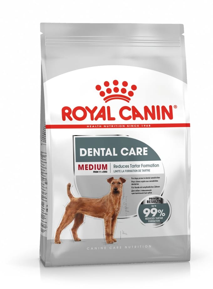 Royal Canin Dental Care Medium - 3 kg - Hondenvoer