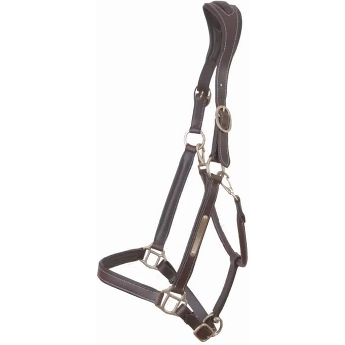Paardenhalster met plaat T de T