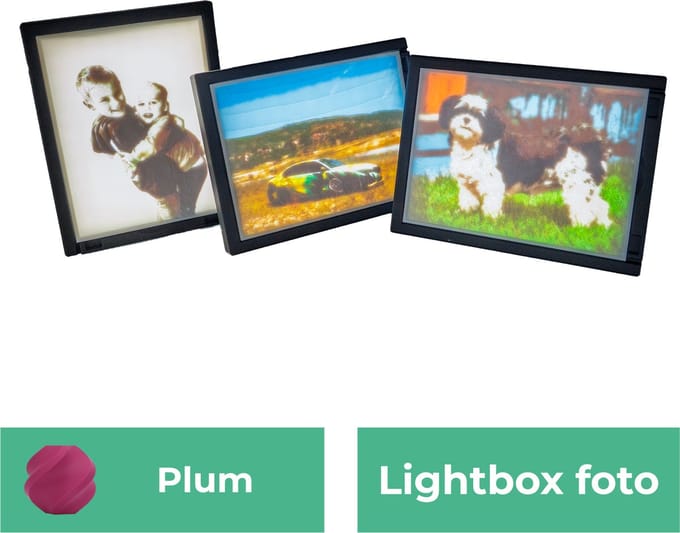 Lightbox foto - Plum