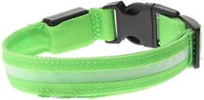 *** Led Honden Halsband - Groen - L - 45 - 52 cm - van Heble® ***