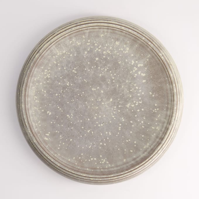 Tokyo Design Studio - Gold Sand Schaal - Grijs/Goud - 24 x 5 cm - Platte Serveerschaal