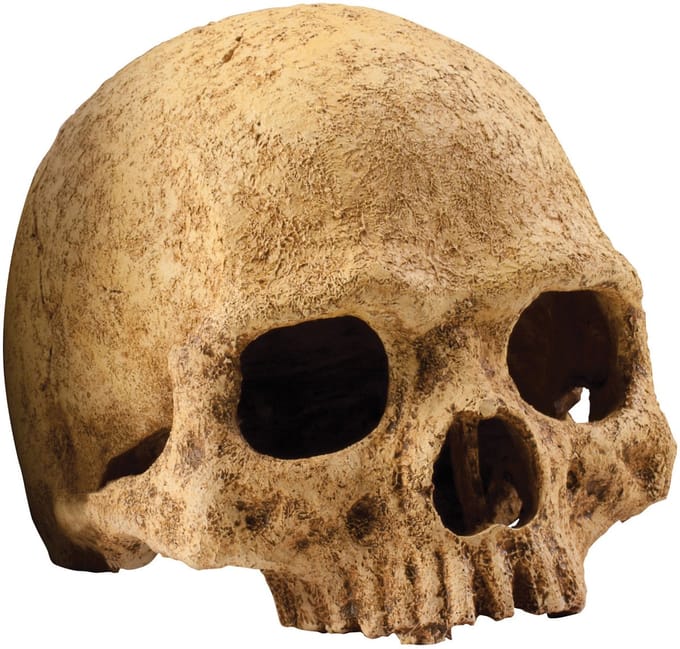 Exo Terra Primate Skull Schuilplaats - Terrarium Decoratie - 11 x 21 x 14 cm