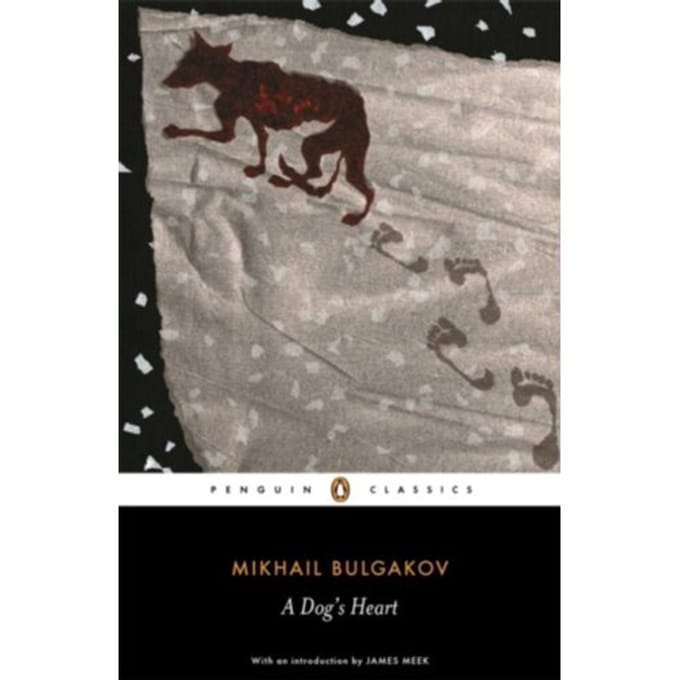 Een Hondenhart door Michail Boelgakov Paperback Boek 9780140455151
