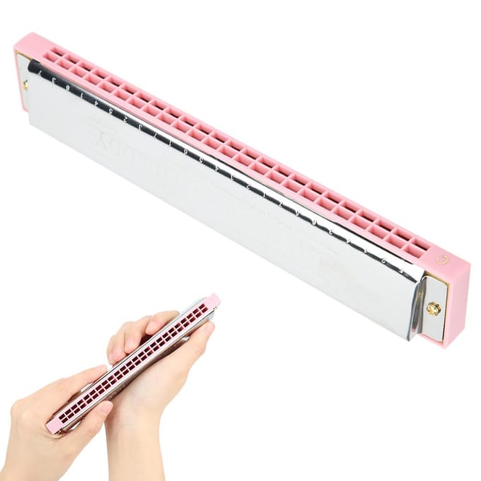 Professionele Mondharmonica Diatonische Harp C Toon Roestvrijstalen Dekplaat 24?HolePink roze