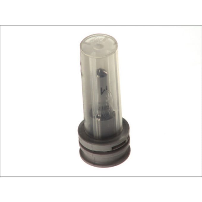 Injectiemondstuk DELPHI L014PBB