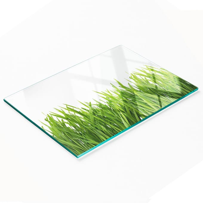 Decoratieve glazen serveerplank met afbeelding van gras voor het serveren van snacks, 80x52 cm
