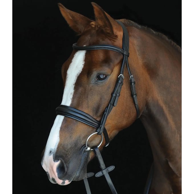 Hoofdstellen Weatherbeeta Collegiate Mono Crown