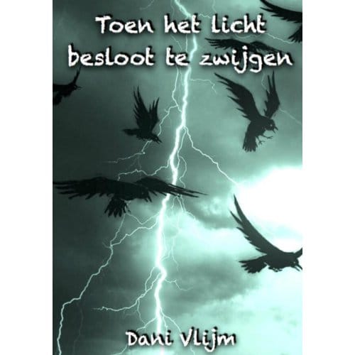 Toen Het Licht Besloot Te Zwijgen - Dani Vlijm