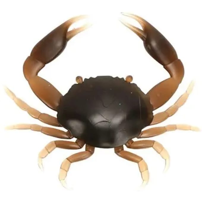 Lok Ragot Crab