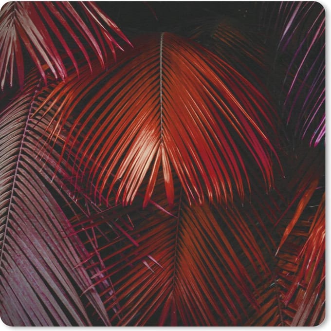 Muismat 20x20 cm - Mousepad Jungle - Design - Kleuren - Bladeren - Muismatten