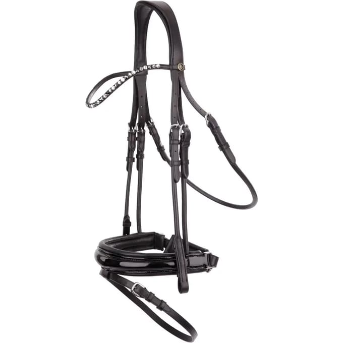 Anatomische hoofdstellen BR Equitation Andover