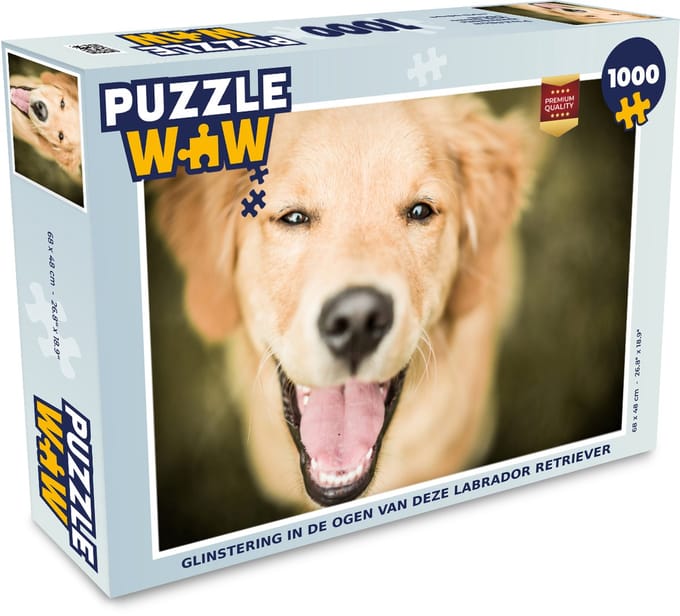 Puzzel Glinstering in de ogen van deze Labrador Retriever - Legpuzzel - Puzzel 1000 stukjes volwassenen