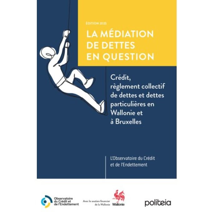 La Médiation De Dettes En Questions - Caroline Jeanmart