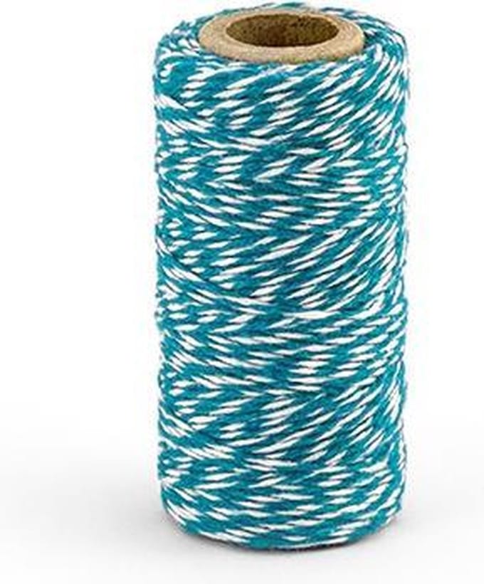Partydeco - Decoratie touw Aqua (50 meter)
