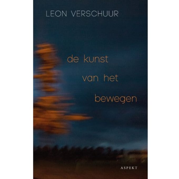 De Kunst Van Het Bewegen - Leon Verschuur