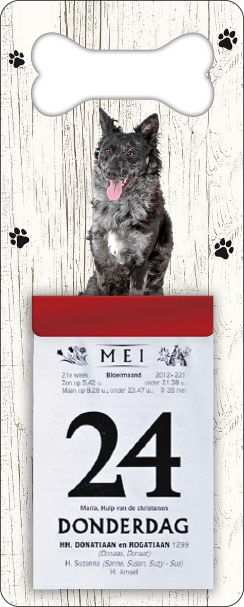 Scheurkalender 2027 Hond: Mudi