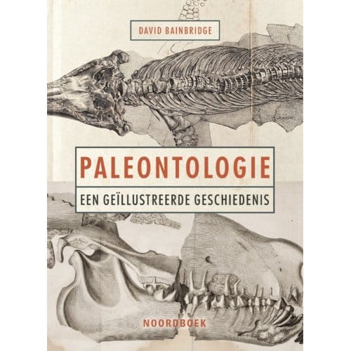 Paleontologie - David Bainbridge
