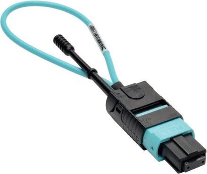 Tripp Lite N844-LOOP-12F netwerkkabeltester Zwart, Blauw