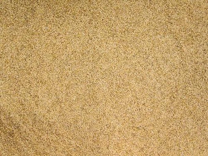 VOGELVOEDERS Senegalgierst/Panicum