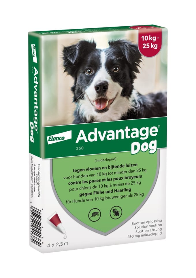 Advantage® 250 voor Honden 10 - 25 kg - Dubbelpak 2 x 4 Pipetten - BE