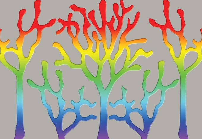 Fotobehang Tree Abstract Rainbow | XL - 208cm x 146cm | 130g/m2 Vlies