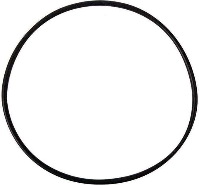 Hayward O-ring voor filtervat (Pro en Ardeche serie)