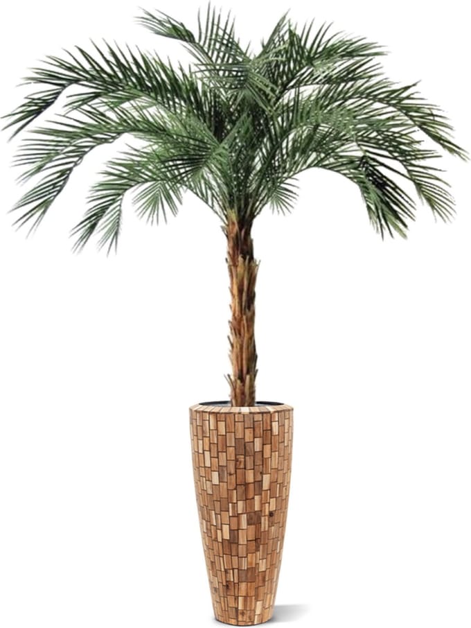 Phoenix kunstpalm OD deluxe 225cm