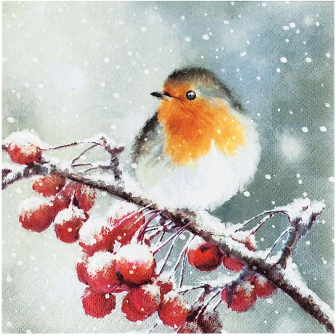 Servet "Hallo robin" - 20 stuks