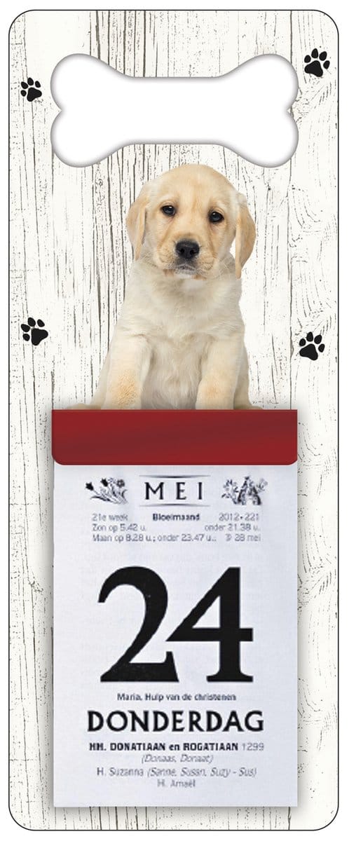 Scheurkalender 2027 Hond: Labrador Pup