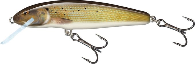 Salmo Minnow 6 cm Floating Spirlin