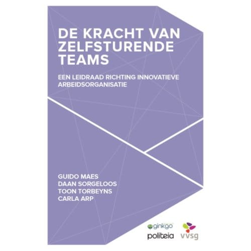 De Kracht Van Zelfsturende Teams - Daan Sorgeloos