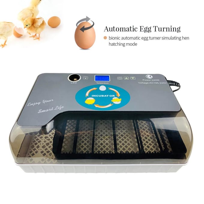 Digitale broedmachine Automatische broedmachine met eiertester Automatische eierendraaier 12 eieren Pluimvee UK Plug gray
