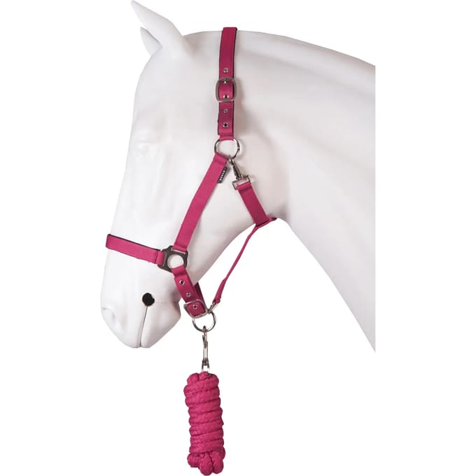 Horka Halsterset Dime Roze Maat Mini