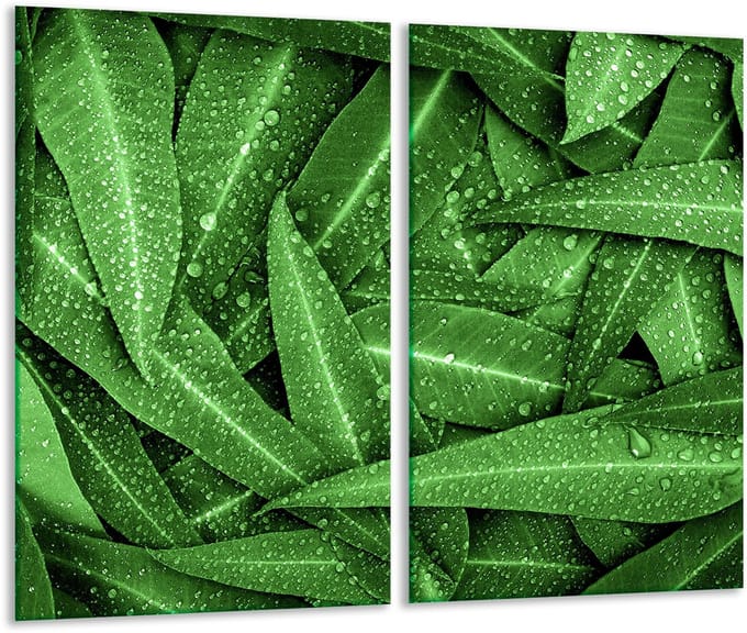TMK ArtDeko - Snijplank - Glas - 2x30x52 cm - Groen