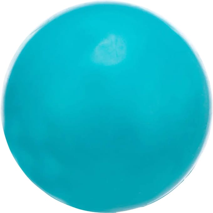 Silent ball hondenspeelgoed van natuurlijk rubber Trixie
