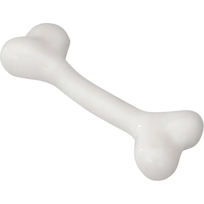 Hondenspeeltje met muntsmaak Ebi Rubber Bone