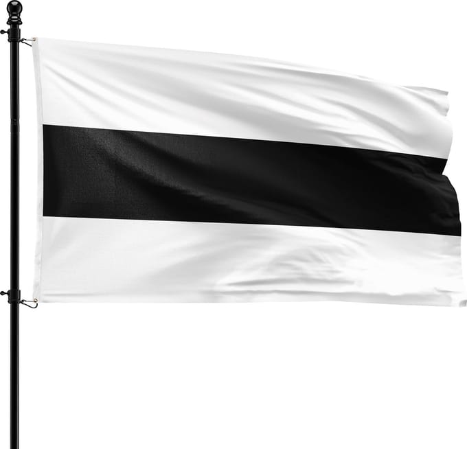 VlagDirect - Delft vlag - Gemeente Delft vlag - 90 x 150 cm.