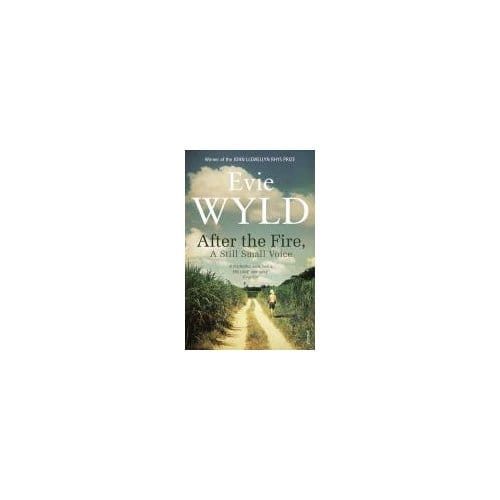 After The Fire, A Still Small Voice - Evie Wyld
