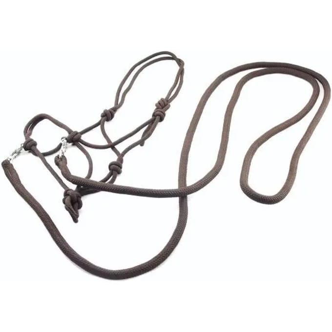 Halster met teugels Umbria Equitazione