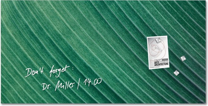 Sigel glasmagneetbord Artverum 91x46cm groen Palm Leaf