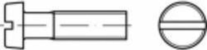 TOOLCRAFT TO-5451030 Cilinderschroeven M3 16 mm Sleuf ISO 1207 Polyamide 200 stuk(s)