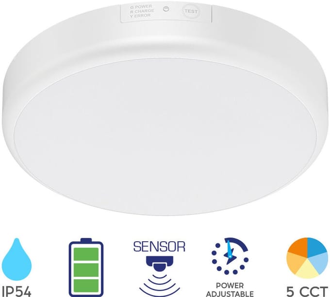 Braytron - LED Portieklamp incl. bewegingssensor - 10-15-20W - Lichtkleur verstelbaar - Nood functie