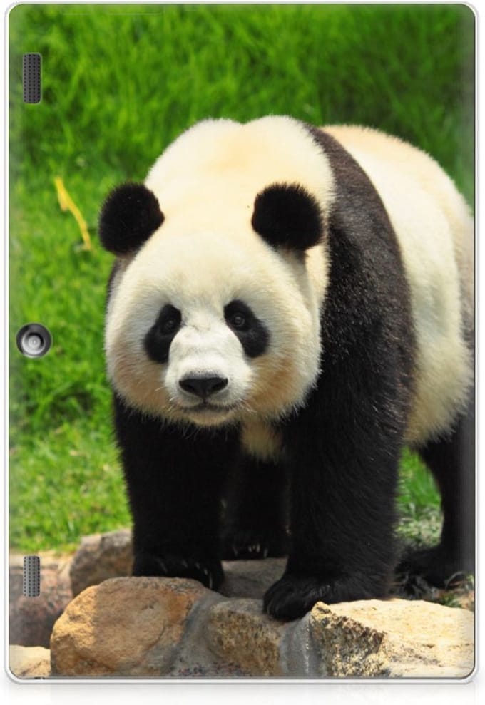 Lenovo Tab 10 | Tab 2 A10-30 Back Case Panda
