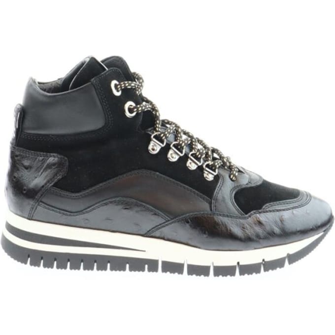 DL Sport 6033