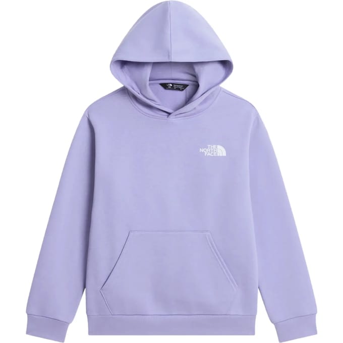 Junior Hoodie The North Face Evolution Box NSE